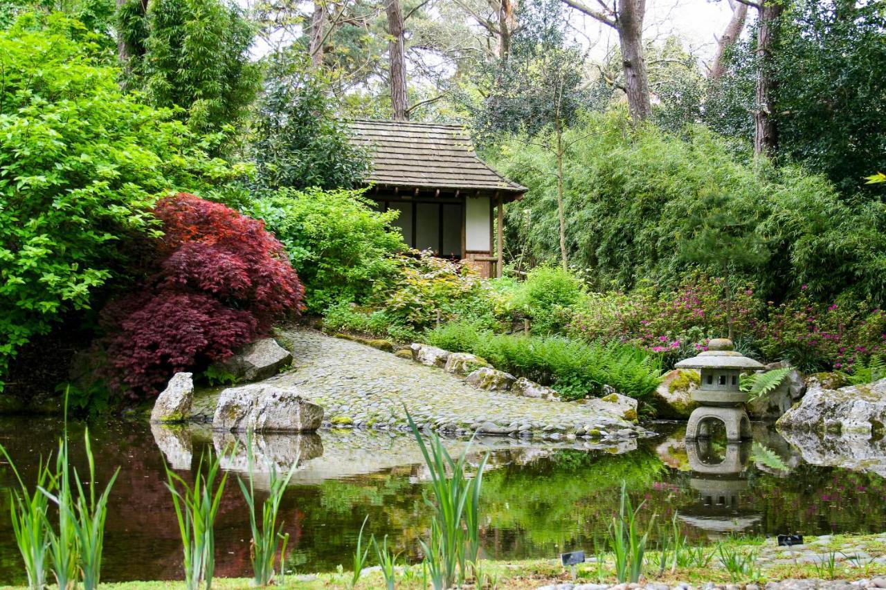 Готель Pinetum Gardens Retreats Сент-Остелл Екстер'єр фото