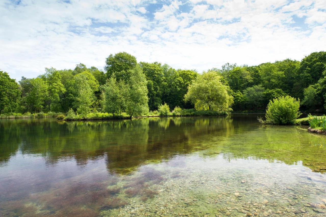 Готель Pinetum Gardens Retreats Сент-Остелл Екстер'єр фото
