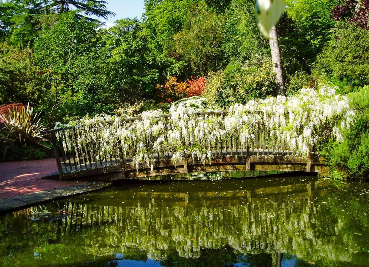 Готель Pinetum Gardens Retreats Сент-Остелл Екстер'єр фото