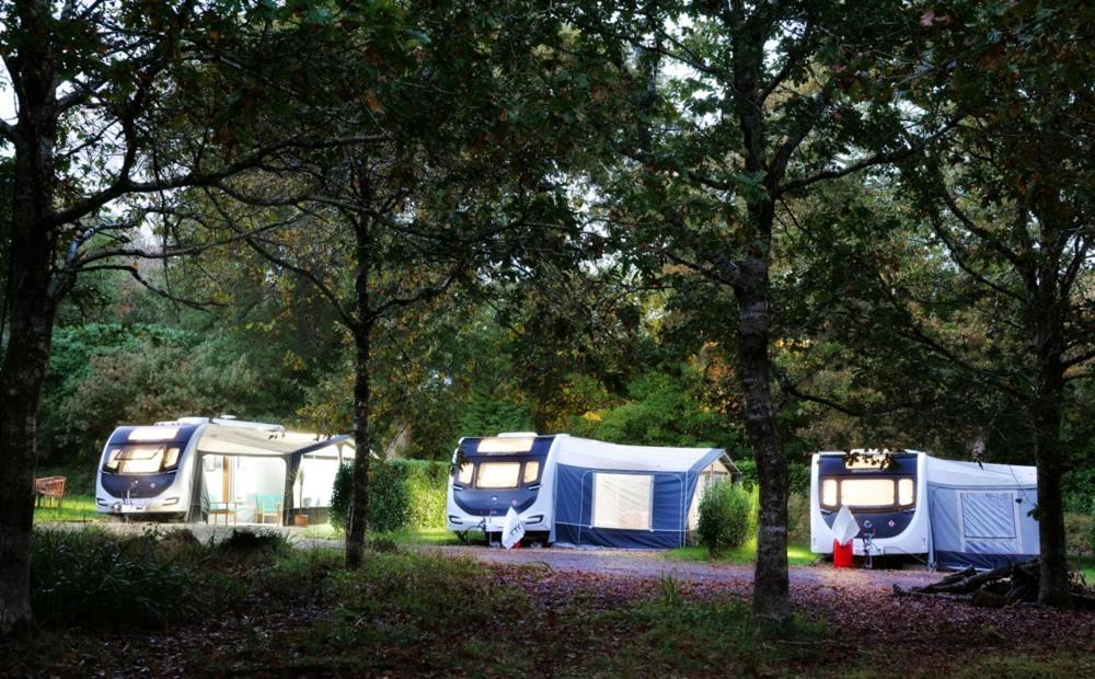 Готель Pinetum Gardens Retreats Сент-Остелл Екстер'єр фото